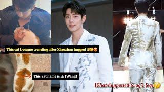 Coincidence🫨 The unexpected name of the cat hugged by Zhange Wang How did this name come about?