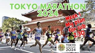 TOKYO Marathon 2024 lets do this. My 6 star journey is about to end. #tokyomarathon #sub230 #run