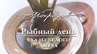 Уха из Белого амура