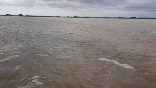 Rio Cauca desembocando en el Río Magdalena. Desembocadura del Río cauca al Magdalena.