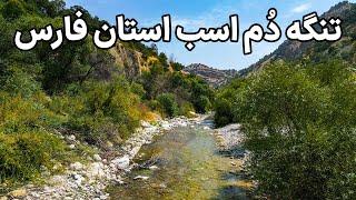 Iran Fars Province - دو ساعت کوهنوردی تا رسیدیم اینجا