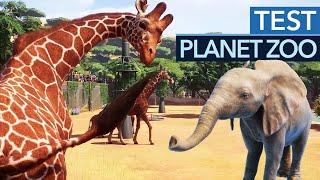 Planet Zoo im Test  Review