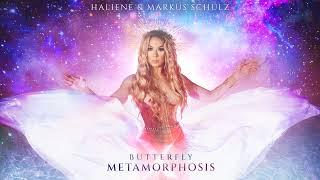 HALIENE x Markus Schulz - Butterfly x Metamorphosis