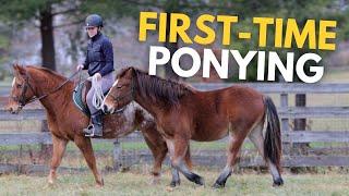 HOW TO PONY A HORSE PART TWO