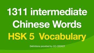 1311 Intermediate Chinese Words - HSK Level 5 Vocabulary 汉语口语水平
