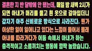 반전신청사연 12월 11일 0530