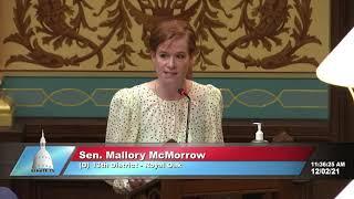 Sen. McMorrow Floor Speech Why Are Childrens Lives Worth Less Than Guns?