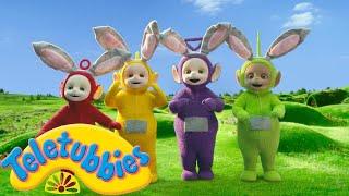 Teletubbies English Episodes Bunny Rabbits  Full Episode - NEW Season 16 HD S16E108