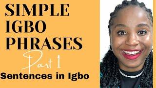 Igbo lesson 9 - Learn igbo phrases  short sentences in #Igbo #language for #beginners