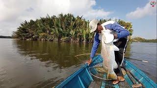 The first throw was immediately struck by a Barramundi fish #Bamboo rod fishing