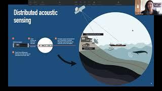 Seafloor Fiber Optic Sensing - Joint IRIS & DAS RCN Webinar