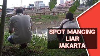 Spot mancing ikan patin liar di Jakarta