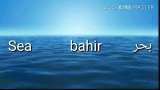 How to pronounce Sea in arabic