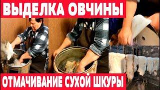 Отмачивание шкуры  Выделка овчины  Часть 2 mp4