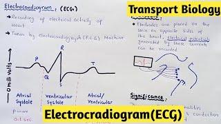 Electrocardiogram  ECG  11 Class Biology