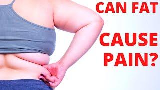 How does obesity cause pain? Inflammatory Fat Explained