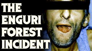 The Enguri Forest Incident