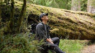 90명만 입산 가능한 세계 10대 트레킹 코스  뉴질랜드 밀포드사운드 