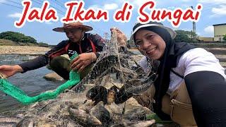 Menemani Suami Jala Ikan di Sungai Taiwan Hasilnya Luar biasa  Best net Fishing tilapia@Togog