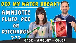 Water breaking signs - Did my water break or did I pee? Water breaking vs pee vs discharge