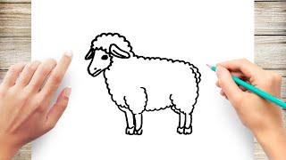How to Draw a Sheep Step by Step