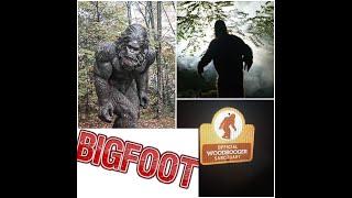 *BIGFOOT SIGHTING* PROOF* George Washington and Jefferson National Forest September 2019