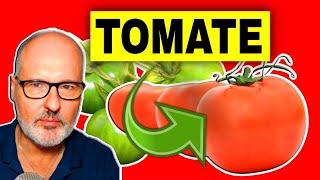 5 BENEFICIOS del TOMATE  y sus RIESGOS