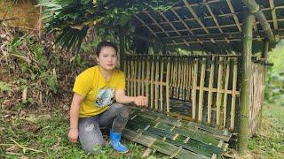 Build a bamboo duck coop for the farm. Sin Thi Sang