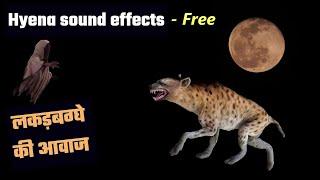 Howl Sound  Horror sound Effects Hyenas Animals Sound  Wild Animals Funny sound Effects 