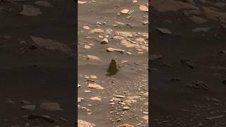 InfMars - Perseverance Sol 474 - Shorts Video 4 “Mars’ Jezero Crater Delta”