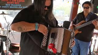 Felix Y Los Gatos La Marcha Live 2021