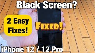 iPhone 12 Black Screen or Blank Screen? Screen Wont Turn On? 2 Fixes