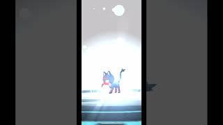 POKÉMON GO LITTEN EVOLUTION