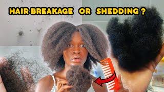 Is my hair shedding or breaking??  How to stop  & prevent hair loss & breakage