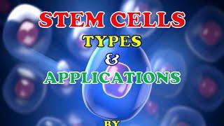 STEM CELLS