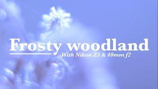 Frosty Woodland With Nikon Z5 & 40mm f2