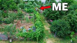 10 Years Later From Normal Backyard To Permaculture Garden Unseen Footage