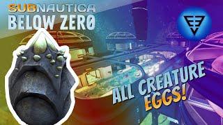 Hatching all creature eggs Subnautica Below Zero