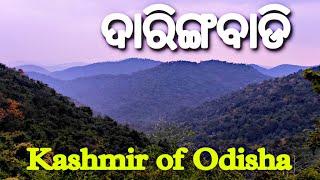 Daringbadi Hill Station-Best Tourist Destination।। Kashmir of Odisha Part-1