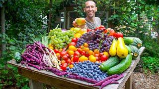 Unbelievable Organic Garden Harvest This is What I Harvested Today