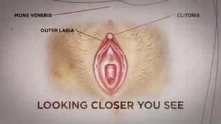 Can you see if a woman is a virgin? Heres the truth - Nyheterna TV4