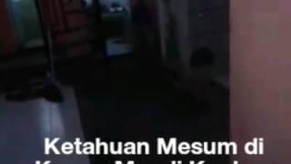 Remaja mesum di toilet kena intip