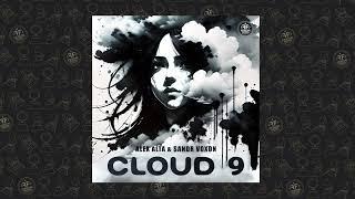 Alex Alta Sandr Voxon - Cloud 9