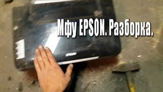 МФУ EPSON. Разборка.