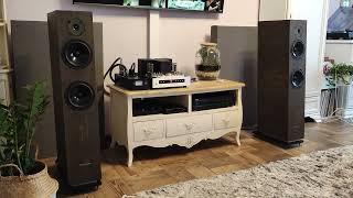 Yaqin MS-30L + Pylon Diamond 28 + Technics SL-1210MK2 + Audio Technica VM540ML + Esdarek MM-3