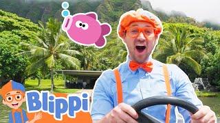 Blippi Goes Fishing in Hawaii Educational Videos for Toddlers