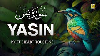 Worlds most beautiful Quran recitation of Surah Yasin Yaseen سورة يس  Zikrullah TV