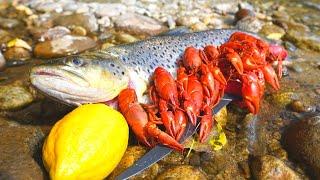 Catch n Cook BROWN TROUT and River CRAWFISH