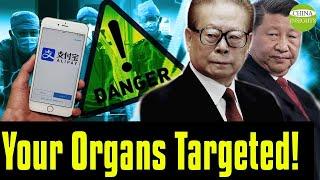 Alipay Users are in Danger as well The Truth about CCPs Theft of Human Organs