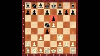 Opening Catastrophes. Sicilian Defence Alapin Variation Part 1. Eugene Grinis. Chess